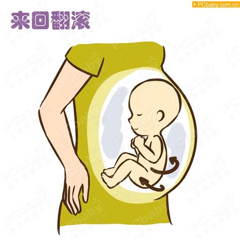 宝宝胎动示意图_科普图库_亲子图库_太平洋亲子网