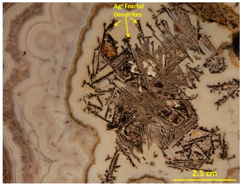 Formation and Aggregation of Gold (Electrum) Nanoparticles in ...