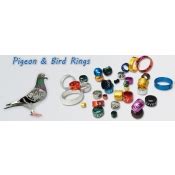 Pigeon & Bird Rings