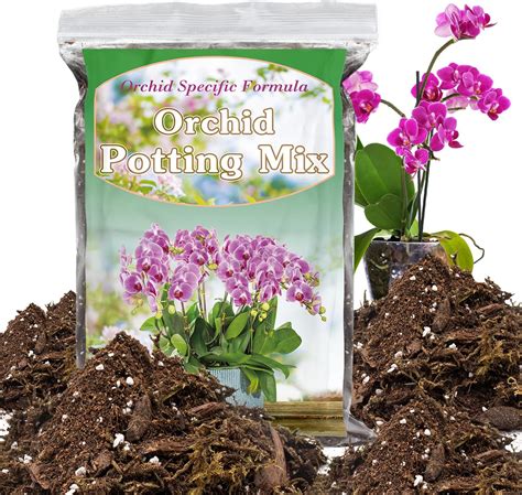 Amazon.com : Orchid Potting Mix for Repotting, Mixture of Moss Pine ...