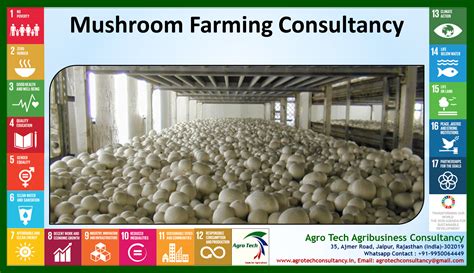 AGRICULTURE CONSULTANCY AGRIBUSINESS ORGANIC SUSTAINABLE CLIMATE SMART ...