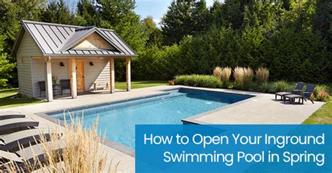 Image result for How to Open My Pool in Spring