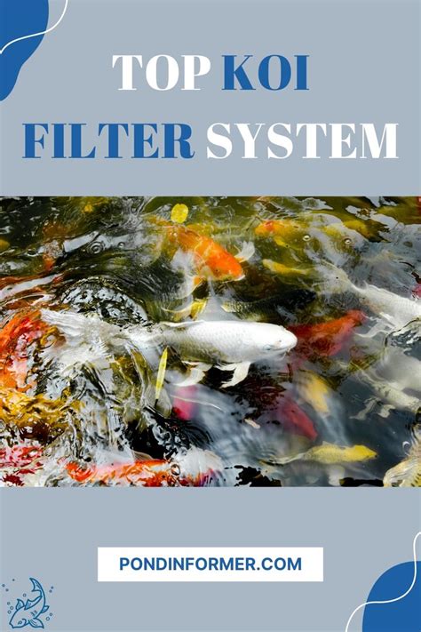 Image result for How Set Up Koi Vortex Filter System