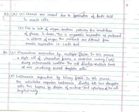 CBSE Topper Answer Sheet Class 10 Science: Model Answer Paper by Topper ...