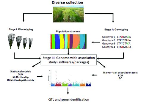 Gwas Microarray 的图像结果
