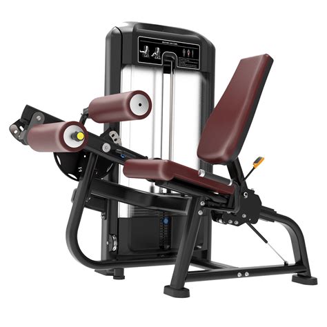 Seated Leg Curl/Extension – BEFITNOW CANADA