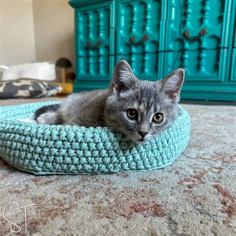 Free Crochet Cat Bed Pattern