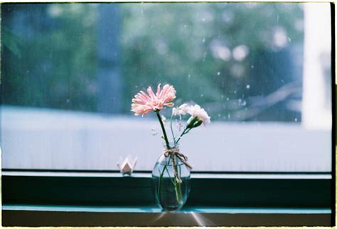 PA Tint Laws: What You Need to Know for Legal Window Tinting