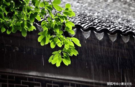情报站|外面大雨屋里小雨，济南多个老旧小区都漏雨_凤凰资讯