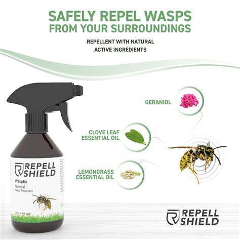 RepellShield Bee And Wasp Repellent Spray - Organic Wasp Spray Outdoor ...