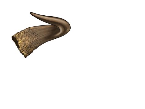 Minotaurhorn Percy Jackson Percy Jackson And The Olympians #1 The