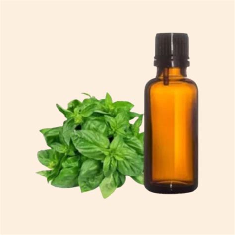 Shoprythm Herbal Liquid Extract Basil Herbal liquid Extract