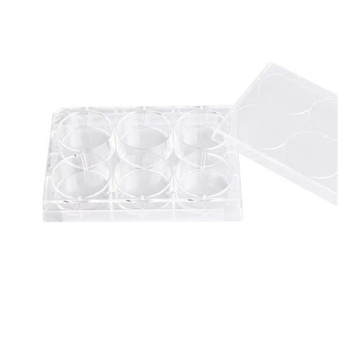 Buy Adamas-Beta Lab Cell Culture Dishes,Sterile Tissue Culture Plate 6 ...