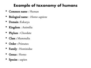 Human Classification Chart 的图像结果
