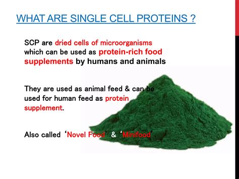 Single Cell Protein Meaning