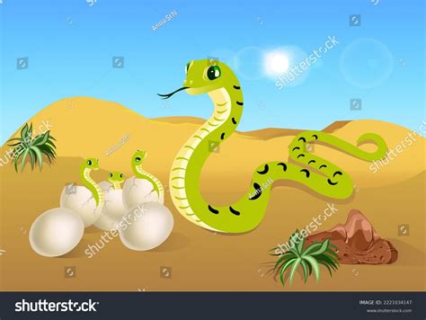 Snake Offspring Reptiles Cold-blooded Eggs Hatched Stock Vector ...