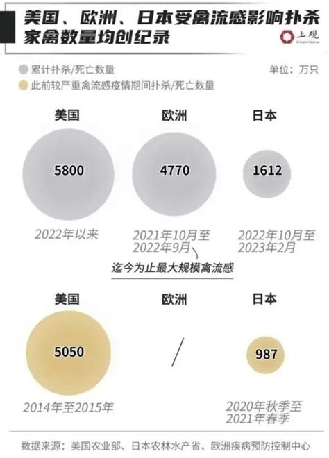 日本暴发“最严重禽流感”，扑杀超1700万只鸡，鸡蛋价格飙升！