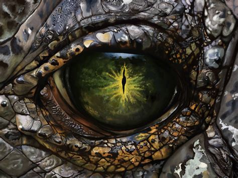 Free photo: Crocodile Eye - Animal, Close, Closeup - Free Download - Jooinn
