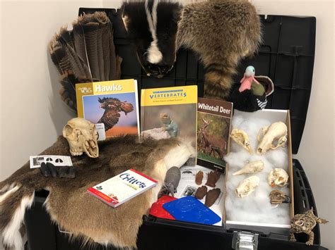 Discovery Trunk: Animal Adaptations - Texas Wildlife Association