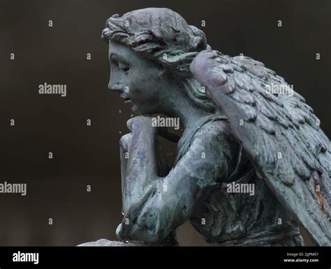Weeping Angel Doctor Who Background