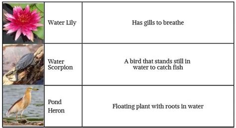 Unit Test Water The Essence Of Life Extra Questions And Answers - Class ...