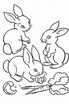 ausmalbilder tiere hase ausmalbilder hase 12 ausmalbilder tiere ausmalbilder tiere hase ausmalbilder hase 12 ausmalbilder tiere