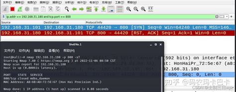 Nmap SynScan 的图像结果