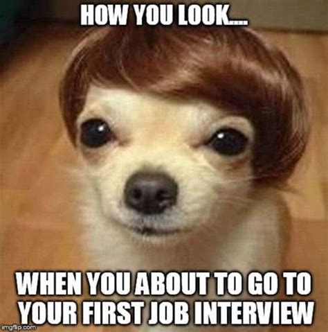 User Interview Meme 的图像结果
