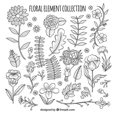 Hand drawn flower set Images - Free Download on Freepik