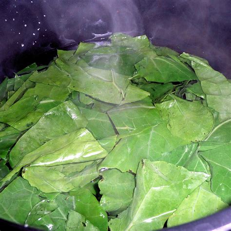 Sauteed Collard Greens | I Can Cook That
