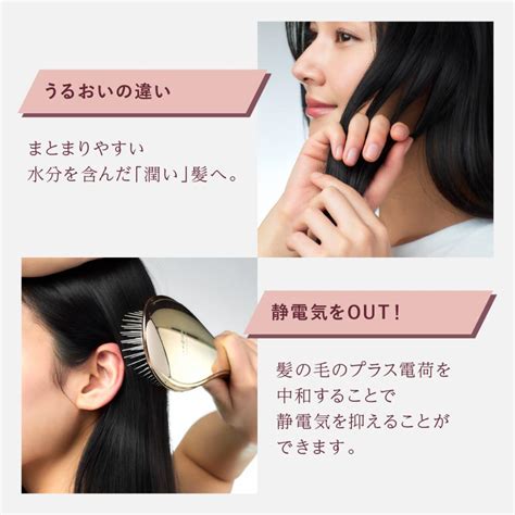製品写真