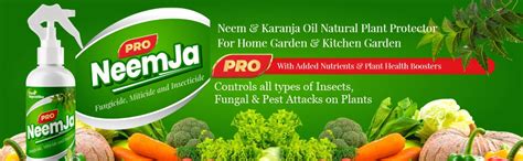 NeemJa PRO (Combo) 500ml Spray + 100ml Concentrate Organic Neem Oil and ...