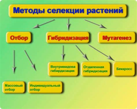 Методы селекции растений — AgroFlora.ru