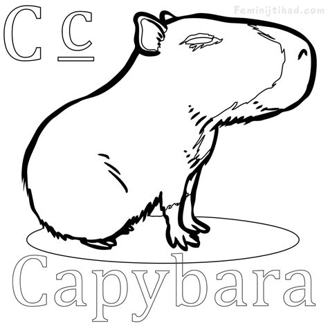 Capybara Coloring Page Coloring Pages
