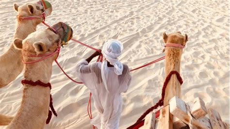Top 45 Places to Visit In Qatar For Discovering Its Iconic Wonders