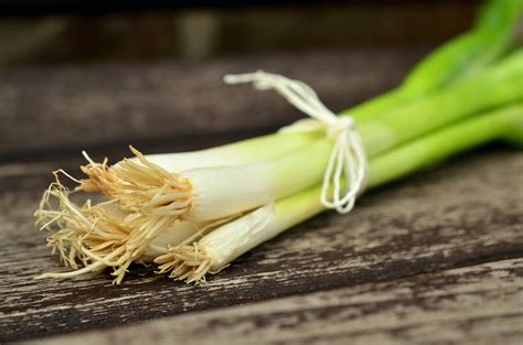 Free Images : flower, food, green, produce, vegetable, healthy, cook ...