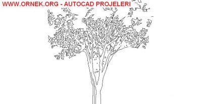 Ağaç dwg projesi - Autocad Projeler