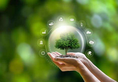 1 Tree planted on your behalf! – B77 Sustainable Fashion