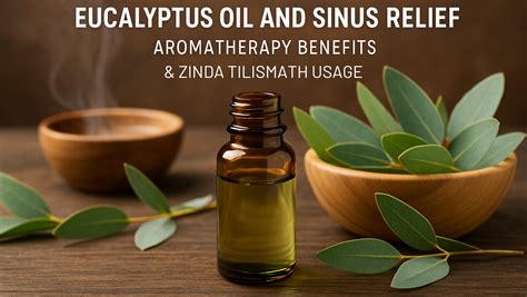 Eucalyptus Oil and Sinus Relief: Aromatherapy Benefits & Zinda Tilisma ...