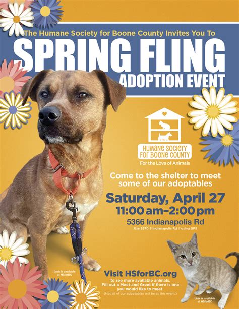 Come to the Spring Fling Adoption Event on April 27 and meet sweet Jack ...