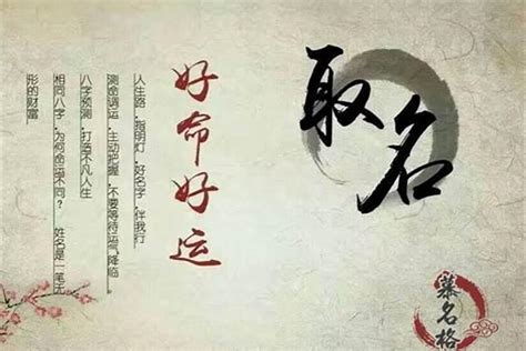 《黄飞鸿与十三姨》35——佛山武术名扬天下（张晨光、林以真、马景涛等主演） - YouTube