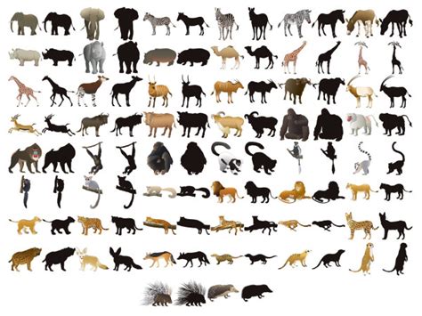 100种常见动物的图片 20种动物图片(3)_配图网