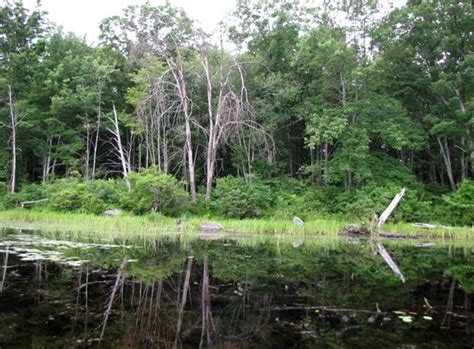 Shohola Lake - 2020 What to Know Before You Go (with Photos) - Tripadvisor