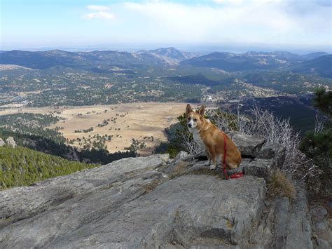 Elk Meadow Park – The (Mostly) True Adventures of Lupe