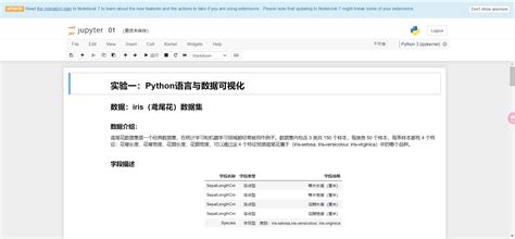 Python Notebook Terminology 的图像结果