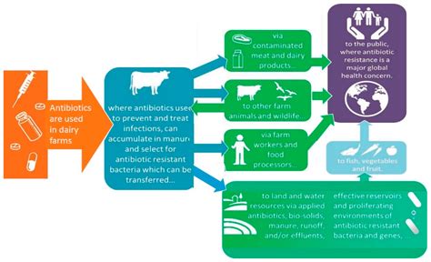 Antibiotics in Dairy Production: Where Is the Problem?