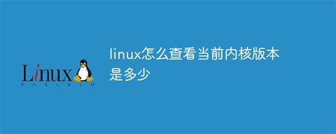 在线试用 200 多种 Linux 和 Unix 操作系统 - 知乎