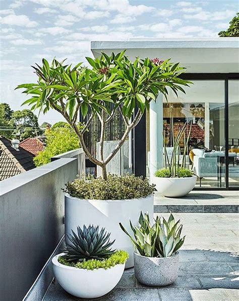 BEST MODERN FRONT YARD LANDSCAPING IDEAS - FRUGAL LIVING | Backyard ...