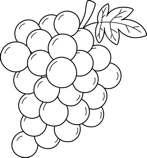 Grapes Fruit Isolated Coloring Page For Kids Kids Nutritious Summer Vector, Fruit Drawing ...