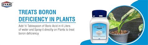 ZYAX Boric Acid Powder 400g, Pure & Fine Multi Purpose Powder for ...